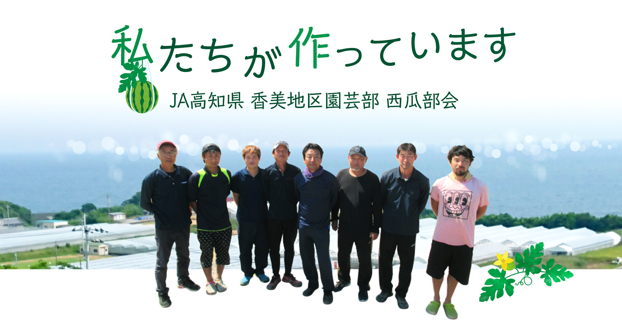 私たちが作っています JA高知県 香美地区園芸部 西瓜部会