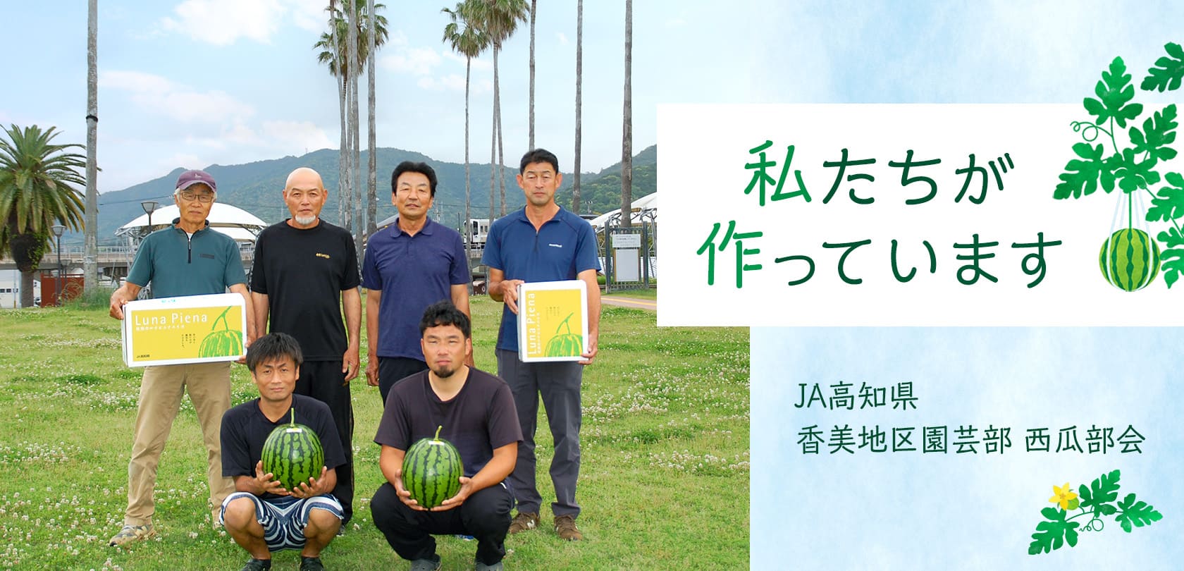 私たちが作っています JA高知県 香美地区園芸部 西瓜部会